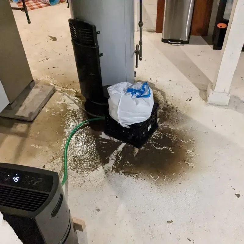 Sewage Backup Cleanup Service in Lincoln, MT